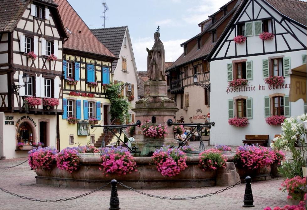 Relais Des Vosges Leilighet Husseren-Wesserling Eksteriør bilde