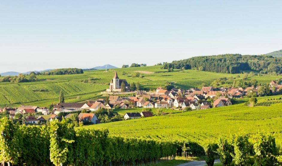 Relais Des Vosges Leilighet Husseren-Wesserling Eksteriør bilde